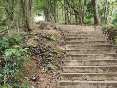 -梧桐山风景名胜区