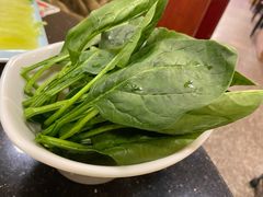 菠菜-老诚一锅·羊蝎子(广渠门外店)