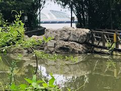 -吴淞炮台湾湿地森林公园烧烤区