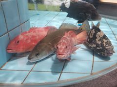 -珀莱雅总部大楼