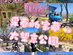 -大望京公园