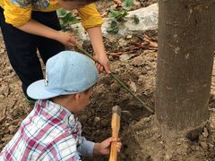 -上海市浦东新区恒宇幼儿园(杨南部)