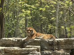 -秦皇岛野生动物园