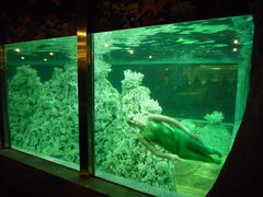 -肇庆奥威斯酒店