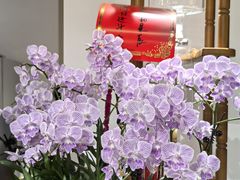 -2326 Coffee Roaster咖啡豆可选店(林肯公园店)