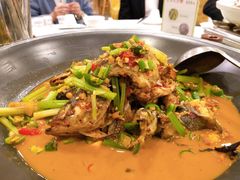 -饭怕鱼(阳光100店)