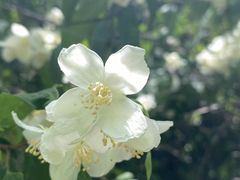 -沈阳植物园