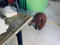 -清真-戏楼王记牛肉面
