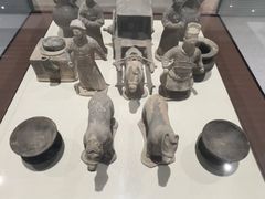 -北京中医药大学-中医药博物馆
