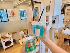 -有喵·猫咖·狗咖·30几只猫10只小狗(岗厦店)