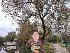 -西溪国家湿地公园