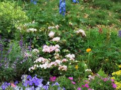 -上海共青森林公园