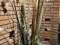 -园里火锅(仁和新城店)