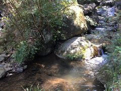 -藏龙百瀑风景区