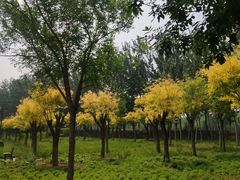 -东郊湿地公园