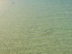 -巴拉湾海滩
