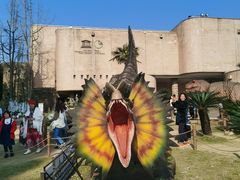 -自贡恐龙博物馆