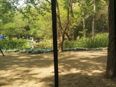 -白水寺森林公园