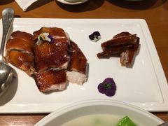 -广州富力君悦大酒店空中花园