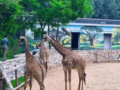 -北京野生动物园