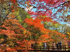 -本溪老边沟风景区