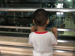 -君乐宝优致牧场