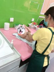 点击看大图 -鳄鱼泡泡游泳馆(新DNA购物中心店)