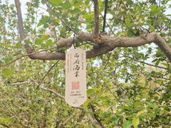 -元大都城垣遗址公园