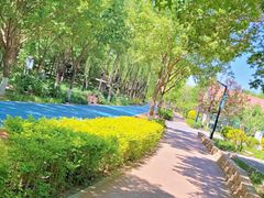 -大兴滨河森林公园