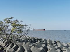 -上海滨江森林公园