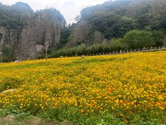 -雁荡山风景名胜区