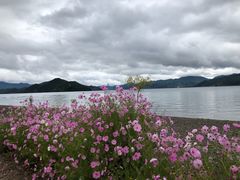 -大洛水码头