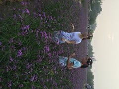 望津里精品酒店-乌镇望津里精品酒店