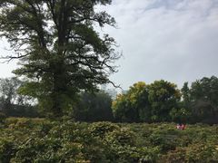 -迎泽公园