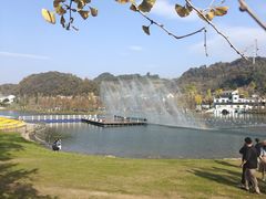 -千年银杏谷文化旅游区