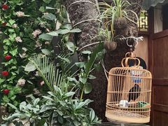 -丽江庭院·云南野生菌·海鲜火锅(鼓楼四合院店)