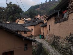-杨家堂村