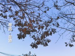 -曲阜东站