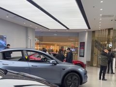 -TESLA 特斯拉(郑州正弘城体验店)