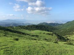 -大姆山草场