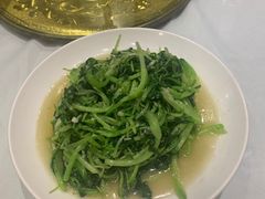 -金春禧(万象天成店)