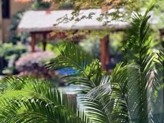 -忆江南·临江鱼馆