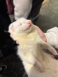 -Zoolung Zoolung动物主题公园(海信广场店)