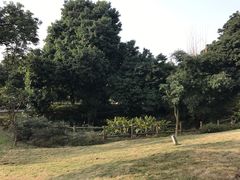-张坝桂圆林公园