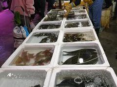 -鑫朱雀农贸批发市场-地下停车场