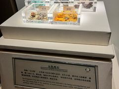 -南越王博物院