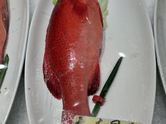 -佬太公海鸭·海鲜大排档(上海总店)