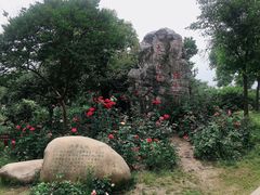 -鹅湖玫瑰文化园