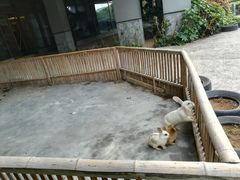 -宁波九龙湖开元度假村