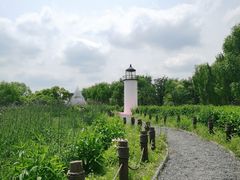 -梁鸿国家湿地公园